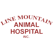 Veterinarian In Herndon | Local Vet Care | Line Mountain Animal Hospital